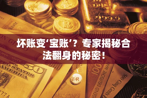 北京坏账变‘宝账’？专家揭秘合法翻身的秘密！