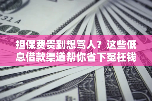 北京担保费贵到想骂人？这些低息借款渠道帮你省下冤枉钱
