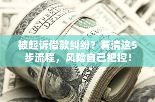 北京被起诉借款纠纷？看清这5步流程，风险自己把控！